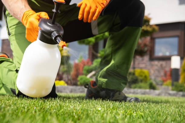 Best Pest Control Near Me in Ingalls, IN