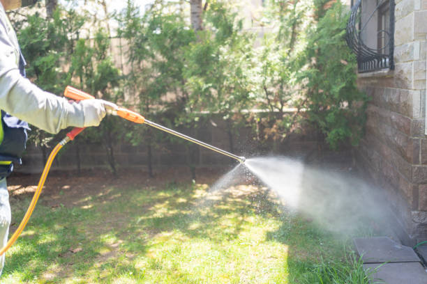 Best Termite Control Services  in Galls, IN