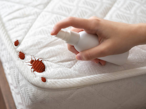 Best Exterminator Services  in Galls, IN