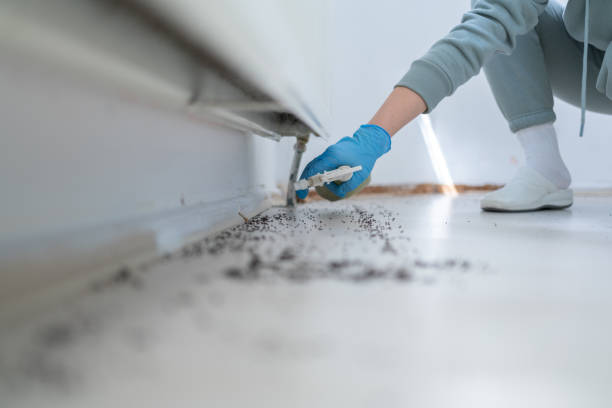 Best Rat Extermination Near Me  in Galls, IN